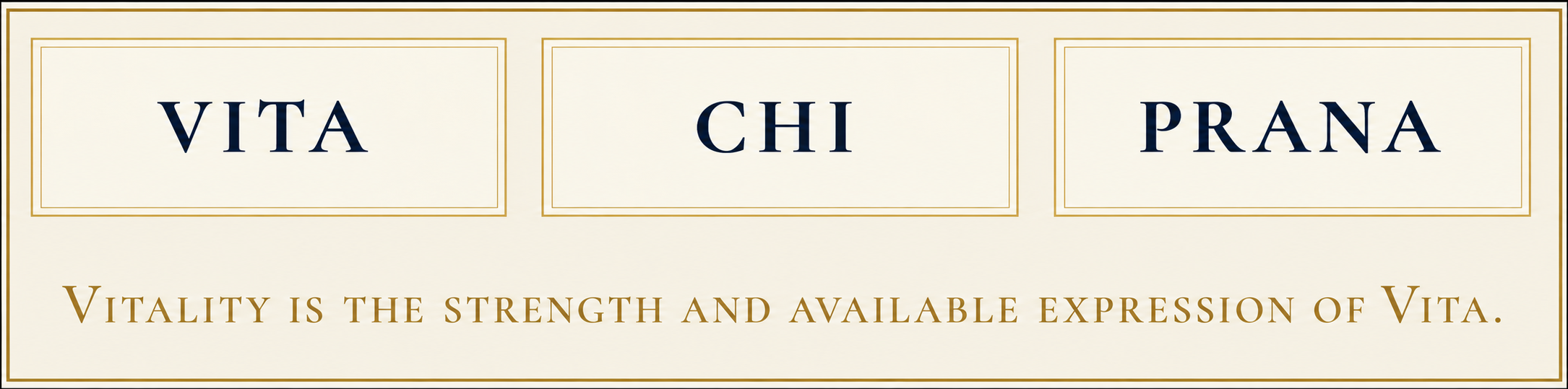 Vita, Chi, and Prana, with vitality defined as the strength and available expression of Vita